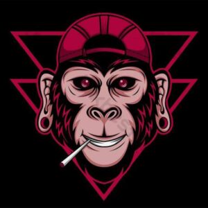 بیت ترپ لش آراندبی کد 0087