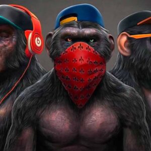 خرید بیت ترپ گنگ مناسب خیابانی کد 1211